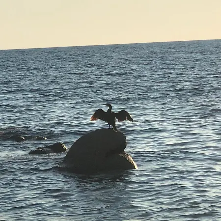 Incantevole Con Vista Mare