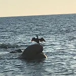 Incantevole Con Vista Mare